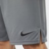 Nike Short Df Knit 6.1