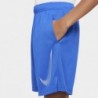 Nike Short Dri-Fit Older