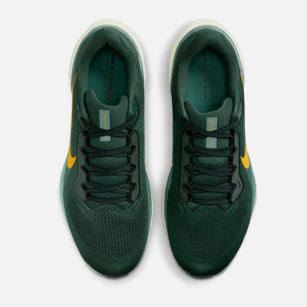 Nike Chaussures Air Zoom Pegasus 41