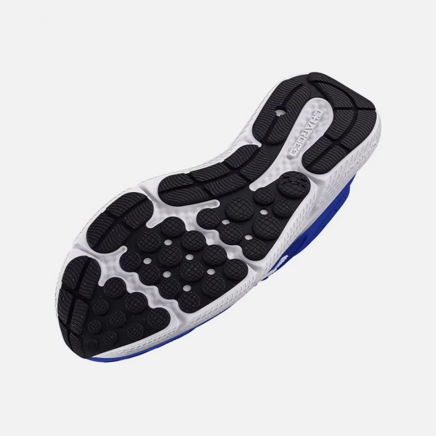 Under Armour Chaussures Charged Assert 10